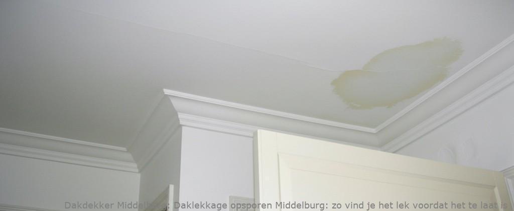 Daklekkage Opsporen Middelburg 1